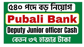 Pubali Bank New Job Circular 2024 Deputy Junior Officer Cash [upl. by Essiralc]