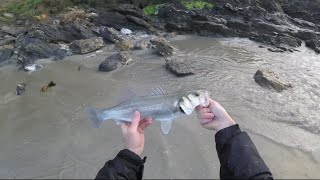 Cornwall Bass Fishing 14 10 2023 [upl. by Eatnom]