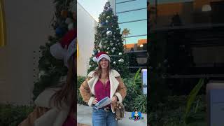 Disney Springs Christmas Tree Stroll 2024 I found all 21 trees 🎄 [upl. by Lezti]