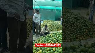 Contact8302695123 5December2024 21 rupee kilo 840 rupee mann auction orange santraa fruit [upl. by Clance600]