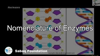 Nomenclature of Enzymes Biology Lecture  Sabaqpk [upl. by Blaire]