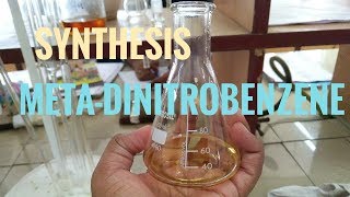 META  DINITROBENZENE SYNTHESIS  ORGANIC CHEMISTRY [upl. by Eceinwahs665]