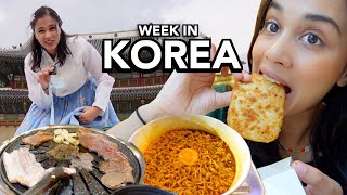 a week in korea vlog [upl. by Aron191]