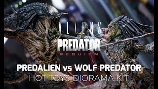 Hot Toys AVPR Predalien VS Wolf Predator Diorama Kit Unboxing Assembly [upl. by Aneertak]