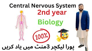 Central nervous system  12 Class biology  2ndyearbiology [upl. by Ahsha]