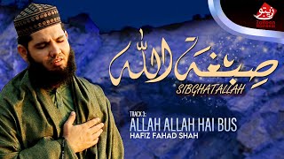 SIBGHATALLAH HAFIZ FAHAD SHAH  TRACK 3  ALLAH ALLAH HAI BUS [upl. by Ecylla]