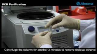 PCR Purification [upl. by Trixy]