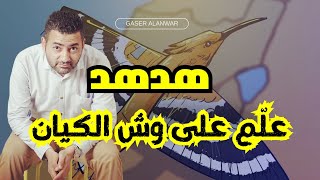 هدهد لبنان إوعى وشك الهدهد وصل  تطورات خطيرة لأولاد العم [upl. by Edmond5]