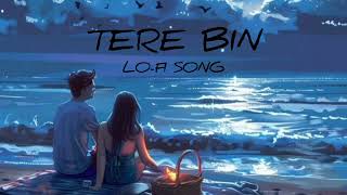 TERE BIN  Lofi song  Slowed  Love  lofi slowedandreverb lovelofi [upl. by Faludi]