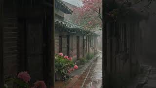 Rainy traditional alleyway rain cozywinterambience [upl. by Adnahs560]