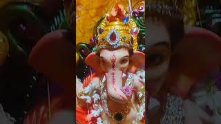 jai ganpati bappa morya jai SitaRamjikijaishriramjai shreeHanumanjiki1msubscribers [upl. by Ayitahs]