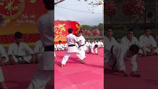 Những đòn đánh tinh hoa karate 🥋 defence vothuat martialarts karate kungfu loitrankarate [upl. by Nirda]