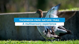 New Thorndon Park Nature Trail [upl. by Rickard949]