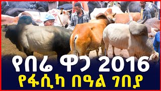 ሻጩ ውድ ነው ያለበት የበሬ ዋጋ 2016 የፋሲካ በዓል ገበያ ቅኝት Easter holiday market analysis SILE BUSINESS Gebeya [upl. by Finnegan]