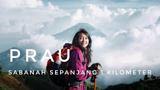 PENDAKIAN GUNUNG PRAU via DWARAWATI  Ternyata ada SABANAH sepanjang 1 KM [upl. by Ernald143]