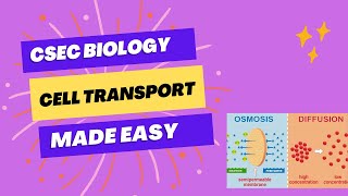 CELL TRANSPORT CSEC BIOLOGY [upl. by Gilberta]