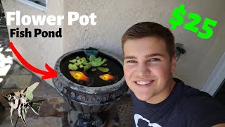 DIY Flower Pot FISH POND mini pond build [upl. by Eellehs]