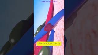 Blown Veins 😨 Explained 💉 quotمَاذَا يَحْدُثُ عندما يُعطيكَ الطَّبيبُ حُقنةً؟quot 💉 [upl. by Eila824]