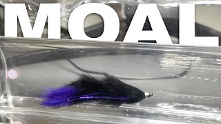 How to Tie a MOAL Leech Steelhead Fly [upl. by Russ]