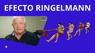 Efecto Ringelmann EXPLICADO FÁCIL [upl. by Eceela]