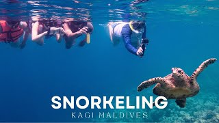 Snorkeling Adventures at Kagi Maldives [upl. by Ailet]