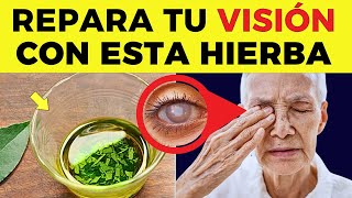 ¡ESTA es LA MEJOR HIERBA Para Proteger los OJOS y Reparar la VISIÓN DE forma natural [upl. by Stronski]