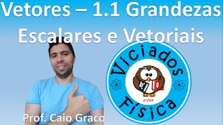 Vetores  11 Grandezas Escalares e Vetoriais Com exercícios [upl. by Ibmat]