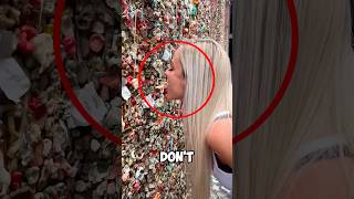 Do Not Lick This Wall 😨 shorts viral [upl. by Lamond]