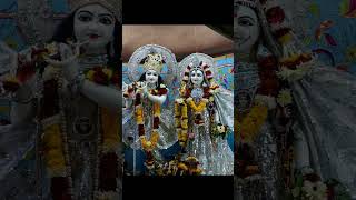 viralvideo shyam laddugopalandkishoriandmore like like shortsvideo shorts viralvideo [upl. by Natalia]