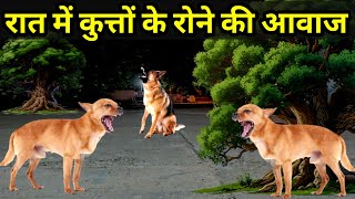 Dogs Cry in Night  Dogs Howling Sound  Horror Sound Effects  Dogs barking  Animals Sound effects [upl. by Dallman]