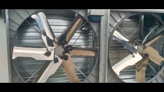 EXTRACTOR FANS  PART 1 WHAT ARE THEY AND INTRODUCTION TO THEIR APPLICATION [upl. by Slosberg]