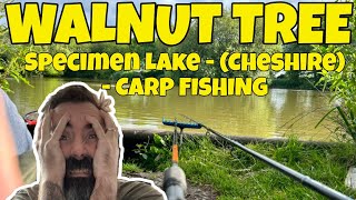 Walnut Tree Farm Specimen Lake  Cheshire  CARP FISHING [upl. by Ahsuatal787]