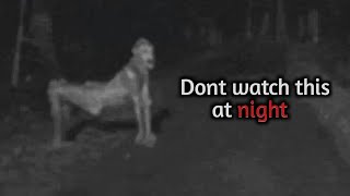 5 Most DISTURBING Camping Encounters Ever Caught On Camera [upl. by Vina543]