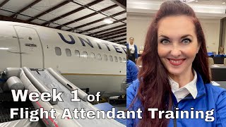 Flight Attendant Training 2022  Week 1 Recap [upl. by Ahsilrak]