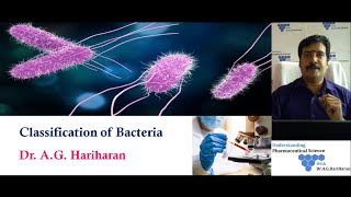 Classification of Bacteria [upl. by Adivad]