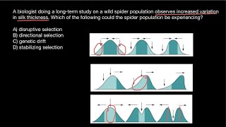 Disruptive Stabilizing Directional selections explained [upl. by Noah]