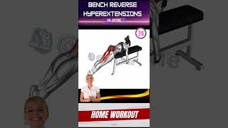 Bench Reverse Hyperextensions workout kegelexercises spine sports hipmuscles stretching [upl. by Vasilis180]