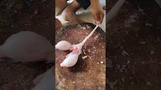 GOAT AMAZING TESTICLE PIECE S CUTTING SKILLS  MD MEAT CUTTING SHOTS  goat meatcuttingskills [upl. by Niamrej]