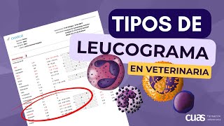 Tipos de Leucograma en la Interpretación de análisis sanguíneo 🩸 en Veterinaria de pequeños animales [upl. by Oikim77]