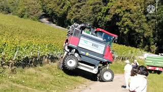 Weinlese Vollernter  A modern way of harvesting grapes in Germany [upl. by Aerdnahs]