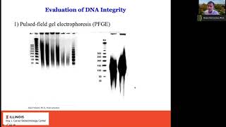 Using the capabilities of the Sequel II System for genome assembly and fulllength16S sequencing [upl. by Ynner136]