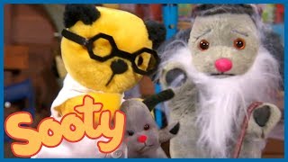 The Old and the Young Sweep  NEW EPISODES  The Sooty Show [upl. by Schmidt]