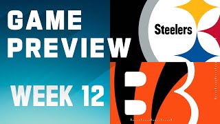 Pittsburgh Steelers vs Cincinnati Bengals  2023 Week 12 Game Preview [upl. by Haidabez]