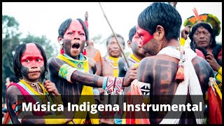 Música Indigena Instrumental [upl. by Neeleuqcaj]