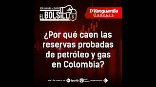 Caen las reservas probadas de petróleo y gas en Colombia ¿se pone en peligro la autosuficiencia [upl. by Gamin]