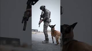 Amazing K9 Dogs training 😱🥶k9 dog malinois usa doglover dogsoftiktok usa [upl. by Stine190]