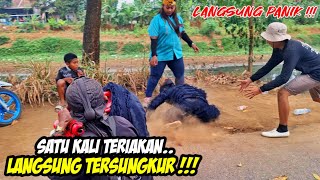 KEHEBATAN PAWANG PAK ASEP❗️❗️BARONGAN KUDA LUMPING LANGSUNG TERSUNGKUR 💥 MUTIYARA SURYA PUTRA [upl. by Ecertap]