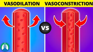 Vasoconstriction vs Vasodilation EXPLAINED [upl. by Tletski380]