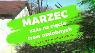 Marzec to odpowiedni czas na cięcie traw ozdobnych [upl. by Zhang726]