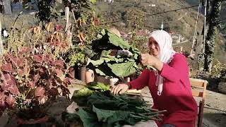 YIKILMADIM AYAKTAYIM RABBİM CÜMLEMİZİN MUTLULUĞUNU DAİM ETSİN KÖY BAHÇE BUGÜN NELER YAPTIK [upl. by Silma]